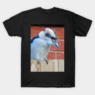 Kookaburra on the Fence! T-Shirt